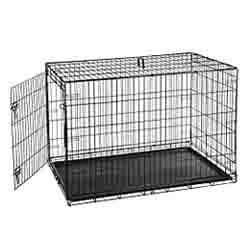 Best Mastiff Crates: Helpful Guide to Choosing the Right One